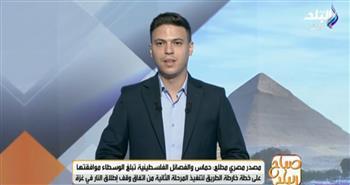 هل يؤدي إعلان حركة حماس نزع سلاحها إلى وقف التصعيد الإسرائيلي.. فيديو