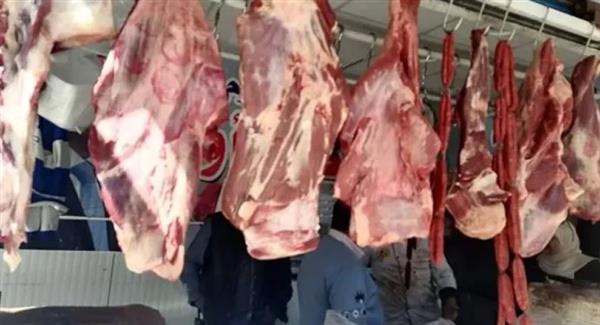 بيطري الشرقية يضبط 29 طن لحوم ودواجن وطيور فاسدة