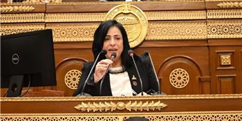 ميرال الهريدي: كلمة الرئيس السيسي تؤكد أن بناء المؤسسات القوية هو الضمان الحقيقي لحماية الدولة