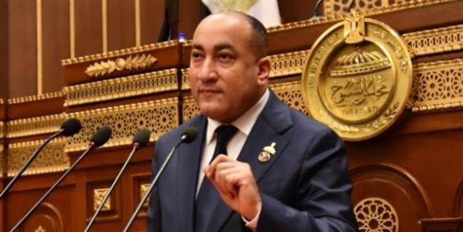 عمرو رشاد: توجيهات الرئيس بسرعة انتخابات المحليات تؤكد استكمال البناء المؤسسي للجمهورية الجديدة