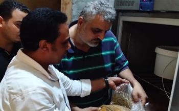 ضبط 8.5 طن لحوم فاسدة بالدقهلية