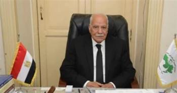   الحزب العربي الناصري: مشروع قانون إعادة تنظيم جهاز "مستقبل مصر" خطوة داعمة للتنمية
