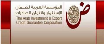 "ضمان الاستثمار": مصر أهم مستقبل لمشاريع الاستثمار الأجنبي المباشر 