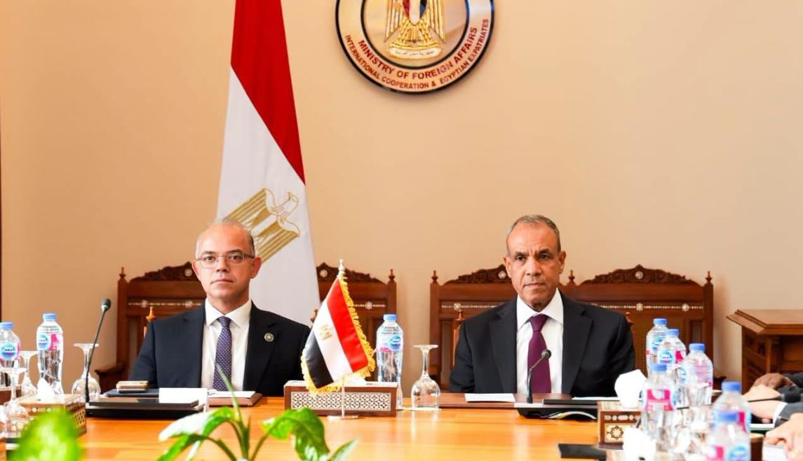 وزيرا الخارجية والاستثمار يبحثان دعم استثمارات الشركات المصرية في إفريقيا