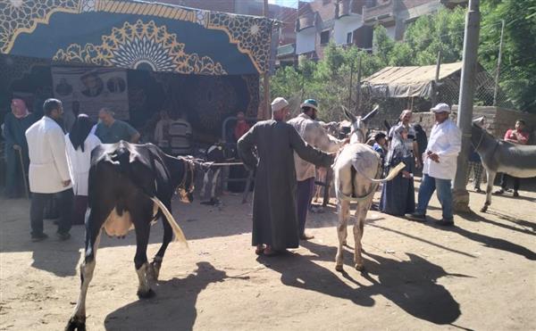 تدشين قافلة لتقديم الخدمات البيطرية لـ 4610 بالغربية