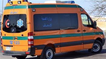   مصرع 3 أشخاص وإصابة 7 آخرين في حادث انقلاب ميكروباص بطريق «القاهرة - الفيوم» الصحراوي