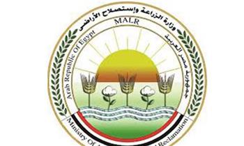   "الزراعة": تجديد عضوية مصر في مجلس إدارة منتدى البحوث الزراعية في إفريقيا حتى 2029
