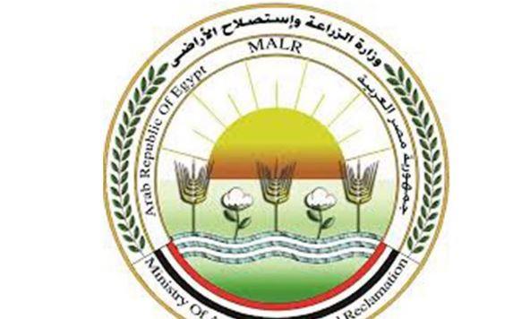 "الزراعة": تجديد عضوية مصر في مجلس إدارة منتدى البحوث الزراعية في إفريقيا حتى 2029