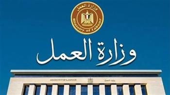    برواتب تصل لـ20 ألف جنيه.. «العمل» تعلن عن فرص عمل للخريجين 