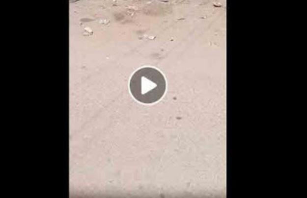 بعد تداول فيديو.. إزالة حواجز حديدية من شارع بالإسكندرية واتخاذ الإجراءات القانونية