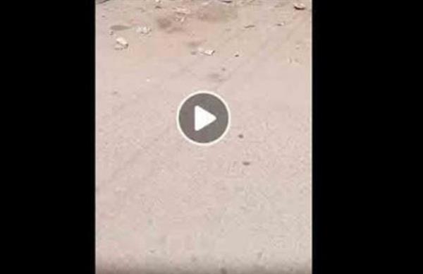 بعد تداول فيديو.. إزالة حواجز حديدية من شارع بالإسكندرية واتخاذ الإجراءات القانونية