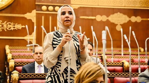 ​ هرماس: توجيهات الرئيس تضبط السوق العقارية وتدعم الاستثمار الجاد