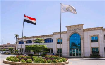 تداول 31 سفينة متنوعة داخل ميناء دمياط اليوم