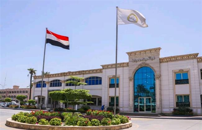 تداول 31 سفينة متنوعة داخل ميناء دمياط اليوم