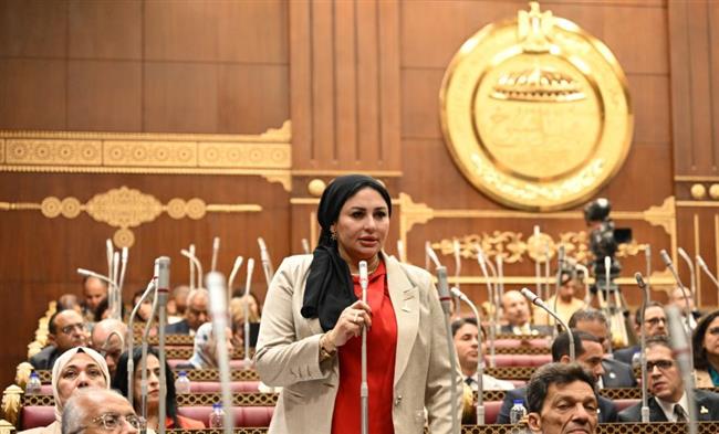 شيرين صبري: توجيهات الرئيس تضع أفكار الشباب على طريق التنفيذ 
