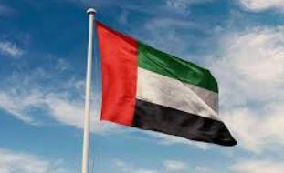 الإمارات تؤكد أهمية تعزيز التعاون بين دول "بريكس" لدعم النمو الاقتصادي