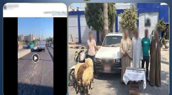   كشف ملابسات مطاردة سيارة بالإسكندرية.. والسبب 4 خرفان