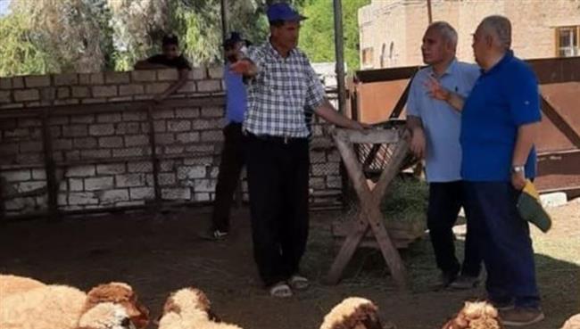 "الزراعة" تتفقد محطة بحوث الانتاج الحيواني ببرج العرب