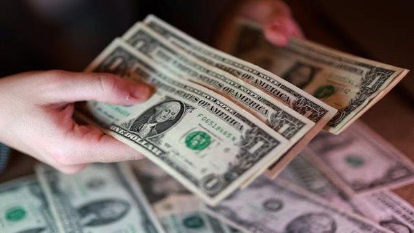استقرار سعر الدولار أمام الجنيه اليوم