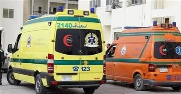 مصرع سيدة وإصابة 11 في انقلاب ربع نقل بأسيوط