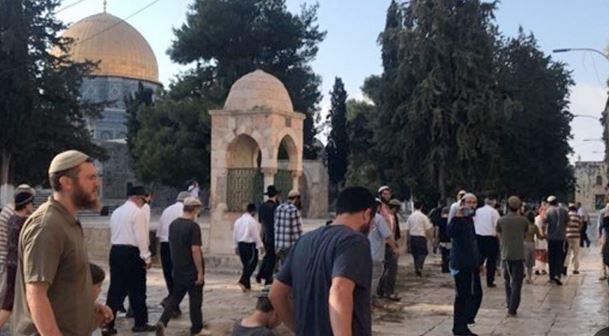 السلطات الروسية: مقتل شخص وإصابة 9 آخرين في هجوم أوكراني على حافلة بمقاطعة بيلجورود