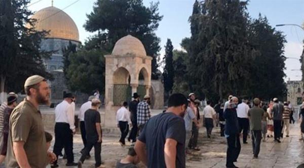 السلطات الروسية: مقتل شخص وإصابة 9 آخرين في هجوم أوكراني على حافلة بمقاطعة بيلجورود