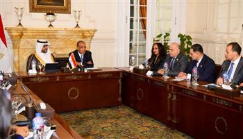   وزير الخارجية يؤكد حرص الدولة على دعم نشاط الشركات المصرية في إفريقيا