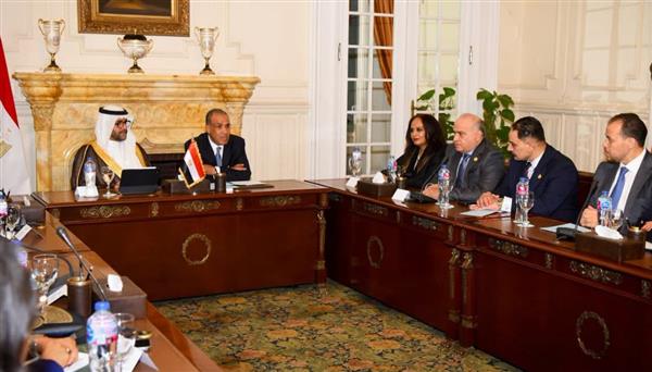 وزير الخارجية يؤكد حرص الدولة على دعم نشاط الشركات المصرية في إفريقيا