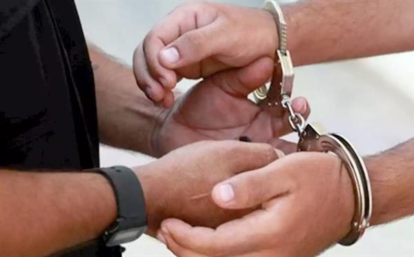 ضبط كيان تعليمي وهمي في بنها.. شهادات مزعومة مقابل أموال وفرص عمل وهمية