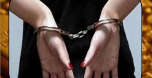 من عروض مغرية إلى عملية نصب.. ضبط سيدة استولت على أموال المواطنين عبر المحافظ الإلكترونية