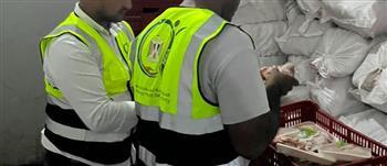 سلامة الغذاء بالإسماعيلية تضبط 91 طنًا من الدواجن غير الصالحة للاستهلاك الآدمي