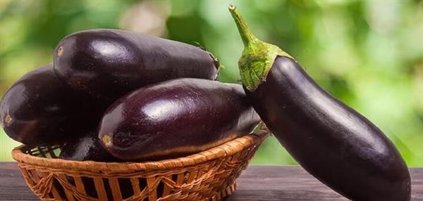 الباذنجان.. كنز غذائي منخفض السعرات يدعم القلب والهضم ويحافظ على الوزن