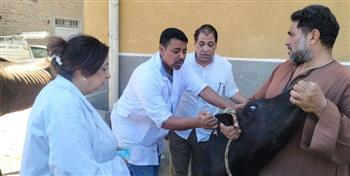 الطب البيطري بالأقصر يقدم خدمات مجانية لمربي الثروة الحيوانية