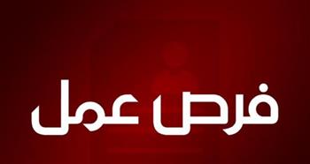   795 فرصة عمل جديدة بقطاع الأمن.. رواتب تصل إلى 20 ألف جنيه