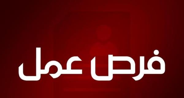 795 فرصة عمل جديدة بقطاع الأمن.. رواتب تصل إلى 20 ألف جنيه