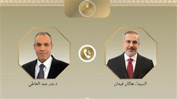   وزير الخارجية ونظيره التركي يشددان على ضرورة خفض حدة التصعيد العسكري الجاري بالمنطقة