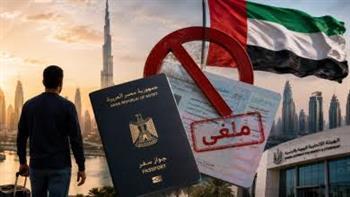 مصر وتركيا تدعوان لخفض التصعيد والعودة للمسار الدبلوماسي بالمنطقة
