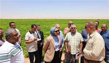 محافظ الوادي الجديد: ندعم مشروعات الاستثمار الزراعي لزيادة الإنتاج وتعظيم العائد الاقتصادي