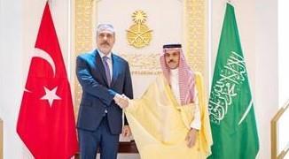 وزيرا خارجية السعودية وتركيا يبحثان تطورات المنطقة وتعزيز الأمن والاستقرار