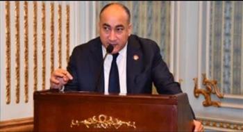   النائب عمرو رشاد: مشاركة مصر في افتتاح جوليوس نيريري شهادة نجاح للخبرات المصرية