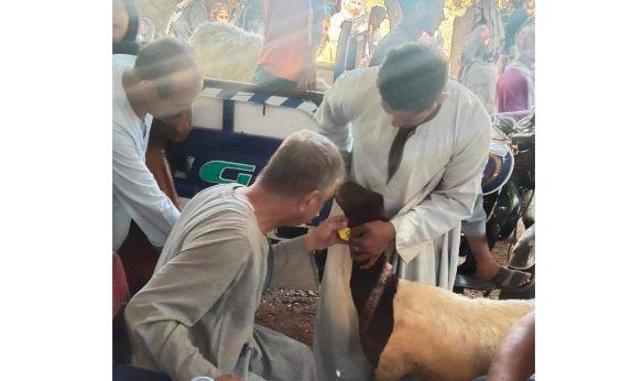 محافظ أسيوط: تسليم 133 رأسًا من الأغنام والماعز لـ64 أسرة بالفتح