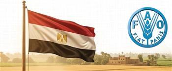 "الوزراء": مصر الأولى عربيا في إنتاج القمح خلال عام 2026 وفقا لتقديرات "الفاو"