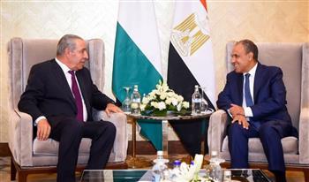 وزير الخارجية يبحث مع نائب رئيس دولة فلسطين جهود تنفيذ خطة السلام