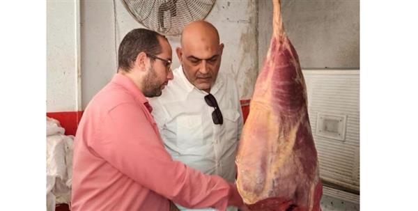 ضبط 30 عجل بتلو محظور ذبحها في حملة مكبرة بالعبور