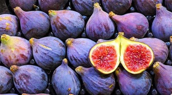 التين.. هل يحتوي على سكر يجعله ممنوعًا لمرضى السكري؟