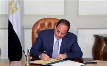 قرار جمهوري بتجديد تعيين ماجد إسماعيل رئيسا تنفيذيًا لوكالة الفضاء المصرية