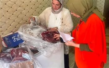 محافظ الدقهلية يتابع حملات الطب البيطري للتفتيش على المحلات