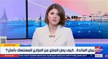 «اتحاد منتجي الدواجن»: مصر تحقق اكتفاءً ذاتيًا من البيض وتصدر فائض الإنتاج