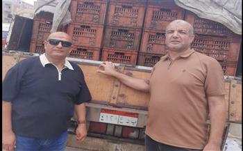محافظ كفرالشيخ: ضبط 7.2 طن أسماك سردين غير صالحة بمطوبس