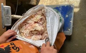 ضبط أكثر من ربع طن دجاج فاسد داخل مطبخ مطعم بطنطا